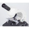 Motic BA81A MS Corded Microscope
