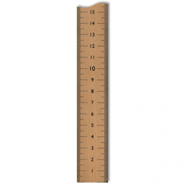 0.5m Wooden Rule - Vertical Scale | School Science Equipment ...